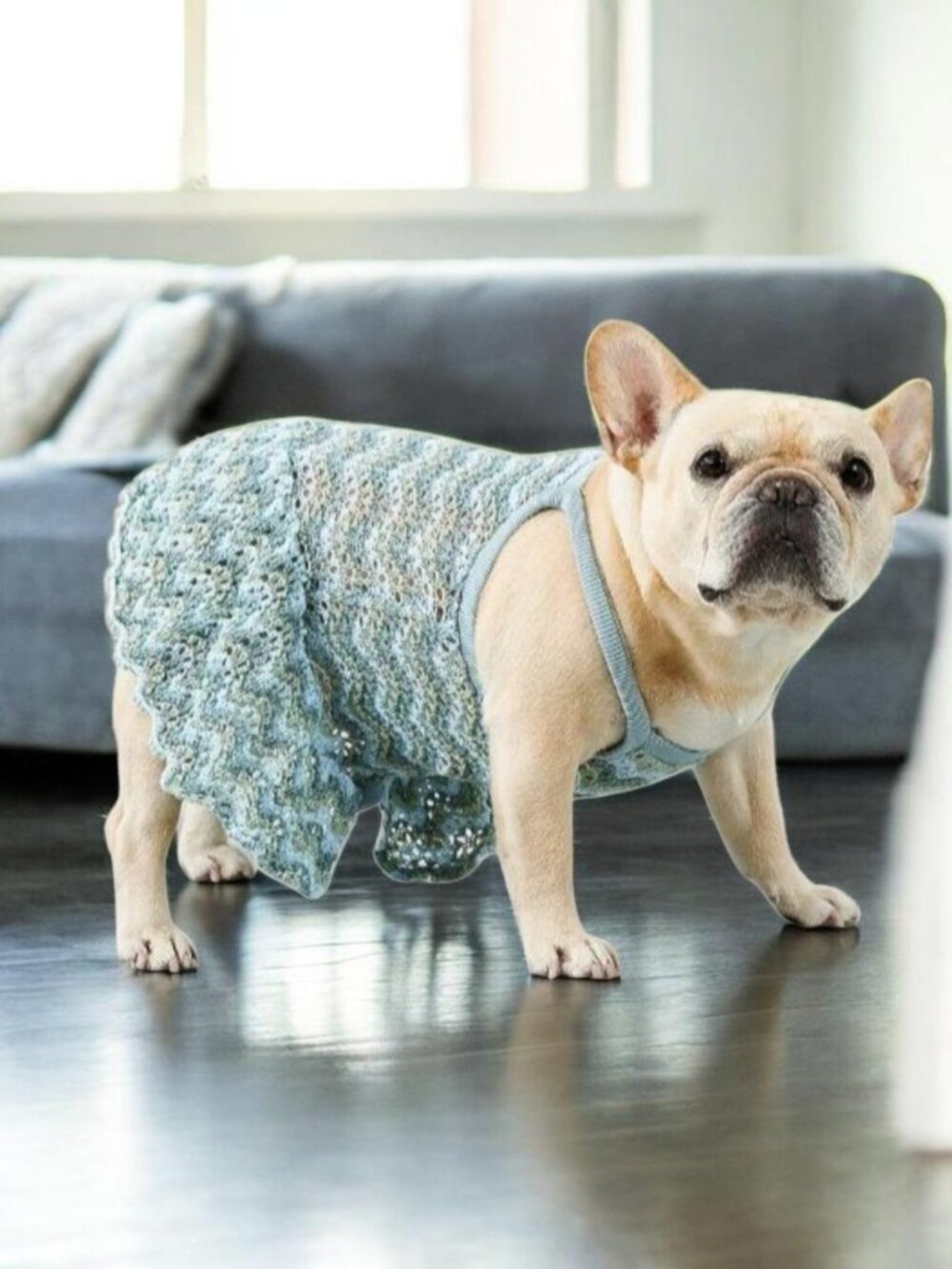 NEW KOOLABURRA UGG (LARGE) Chic Mila Knit Pet Dress